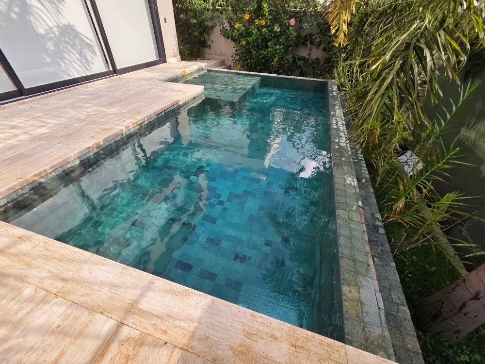 Piscina com revestimento verde e jardim tropical, projeto Pointpool